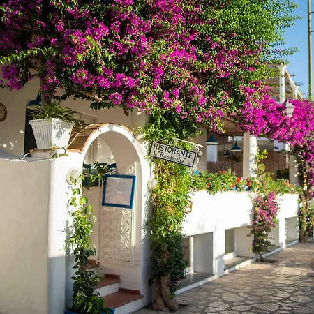 La Rondinella Anacapri (Isola di Capri)